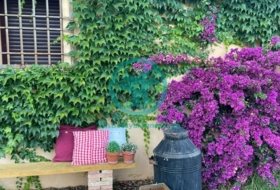 Rusticas y Urbanas Фото