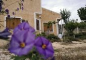 Casa de camp amb terreny en venda a la Camino de Macaroves, Relleu, ref.: TR232111 foto