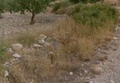 Non-developable land for sale on RM-427, Jumilla, ref: TR232143 photo