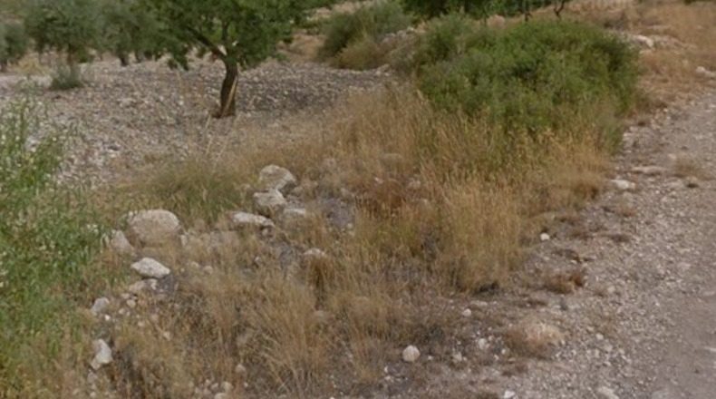 Murcia - Jumella - 18800m2