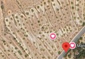 Non-developable land for sale on RM-427, Jumilla, ref: TR232143 photo
