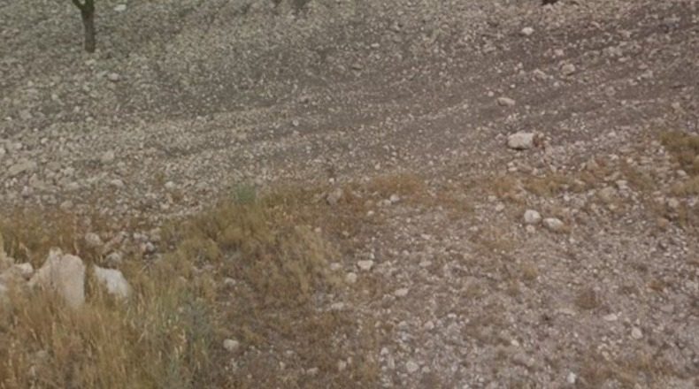 Murcia - Jumella - 18800m2