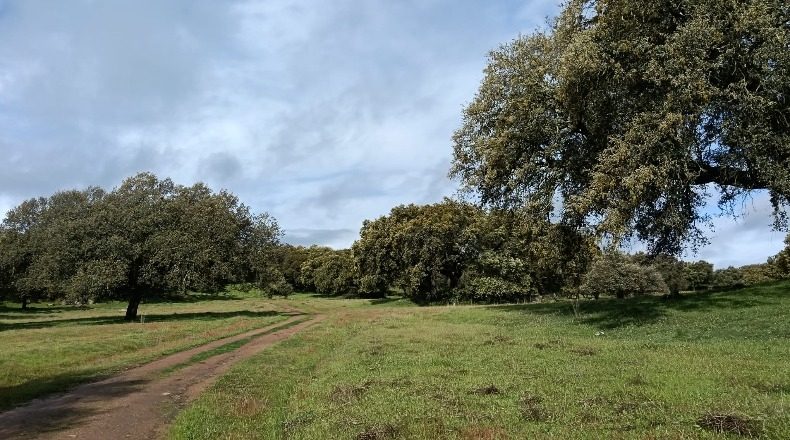 Badajoz - La Parra - 240000m2