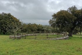 Foto 18
