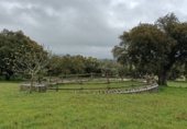 Stone house with land for sale on N-432, La Parra, ref: TR232145 photo