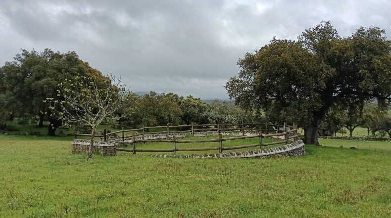 Badajoz - La Parra - 240000m2
