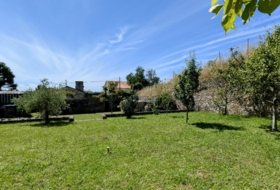Foto 20
