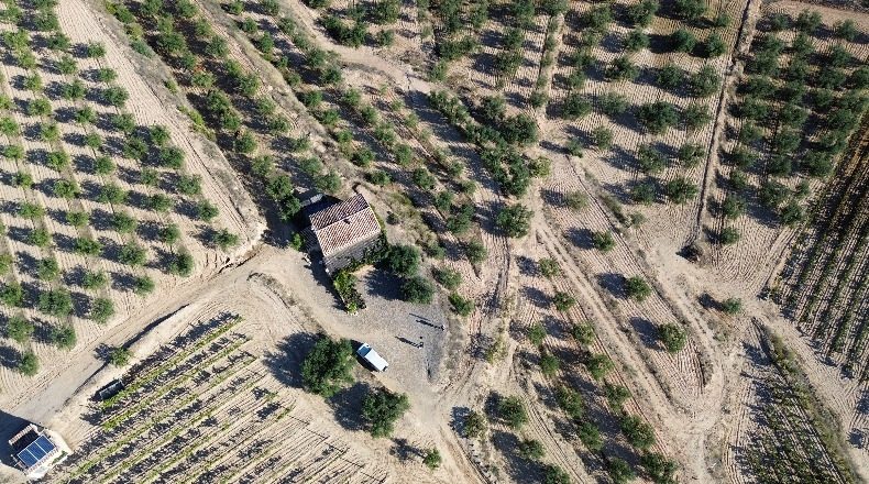 Tarragona - el Molar - 100000m2