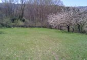 Terreno no urbanizable en venta en la Carretera Nofuentes, Urria, ref: TR232406 foto