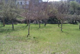 Urria 3178&nbsp;m² 