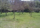 Terreno no urbanizable en venta en la Carretera Nofuentes, Urria, ref: TR232406 foto