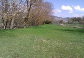 Terreno no urbanizable en venta en la Carretera Nofuentes, Urria, ref: TR232406 foto