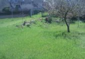 Terreno no urbanizable en venta en la Carretera Nofuentes, Urria, ref: TR232406 foto