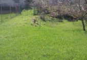 Terreno no urbanizable en venta en la Carretera Nofuentes, Urria, ref: TR232406 foto