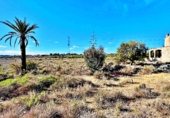 Finca rústica en venda a la Carretera del Bacarot, Alacant, ref.: TR232414 foto