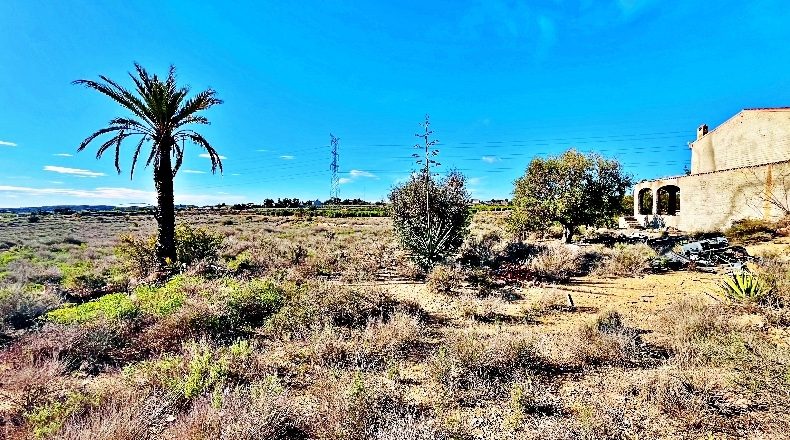 Alicante - Alicante - 74359m2