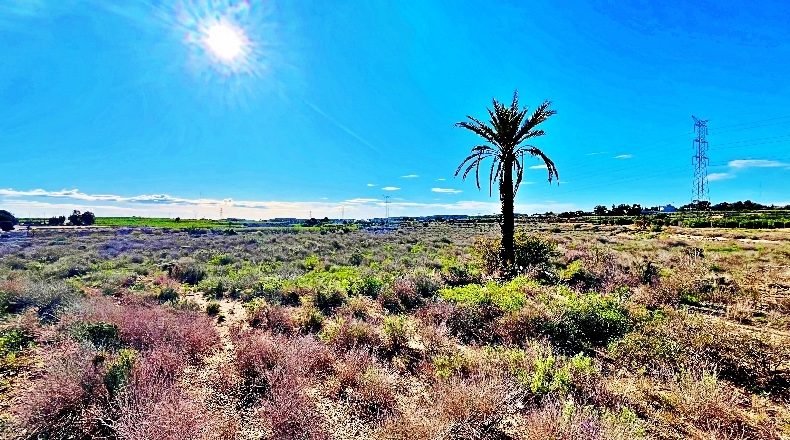 Alicante - Alicante - 74359m2