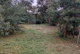 Vilobí d'Onyar 807&nbsp;m² 