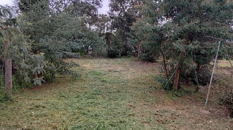 Girona - Vilobí d'Onyar - 807m2