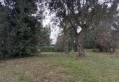 Suelo urbano en venta en la Urbanizacion Can Tarré, Vilobí d'Onyar, ref: TR232417 foto