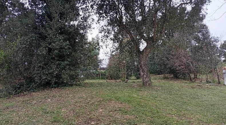 Girona - Vilobí d'Onyar - 807m2