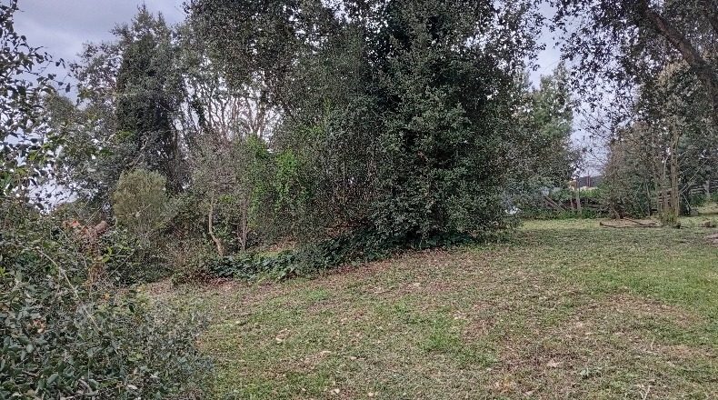 Girona - Vilobí d'Onyar - 807m2