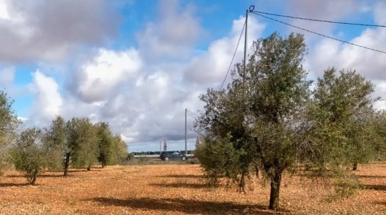 Albacete - Villarrobledo - 13829m2