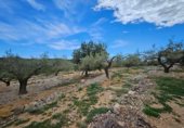 Parcela urbanizable en venta en la Carretera Vella de Tortosa al Perelló, el Perelló, ref: TR232487 foto