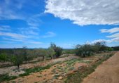 Parcela urbanizable en venta en la Carretera Vella de Tortosa al Perelló, el Perelló, ref: TR232487 foto