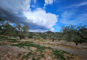 Parcela urbanizable en venta en la Carretera Vella de Tortosa al Perelló, el Perelló, ref: TR232487 foto