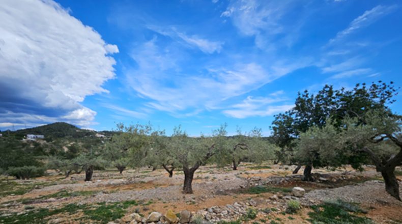 Tarragona - el Perelló - 2000m2