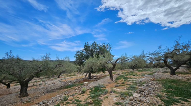 Tarragona - el Perelló - 2000m2