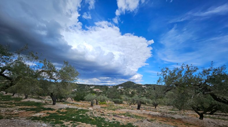 Tarragona - el Perelló - 2000m2