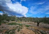Parcela urbanizable en venta en la Carretera Vella de Tortosa al Perelló, el Perelló, ref: TR232487 foto