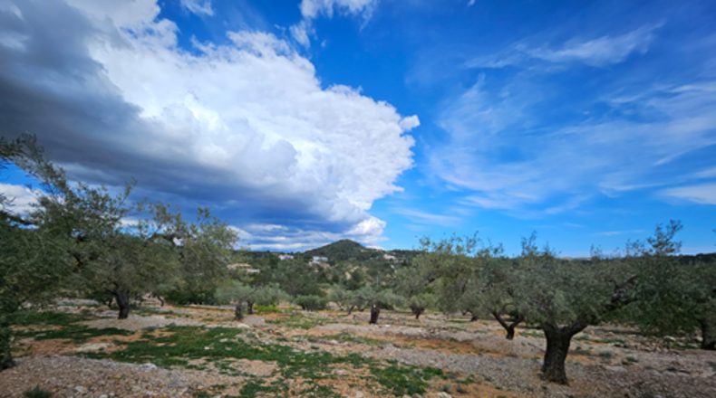 Tarragona - el Perelló - 2000m2