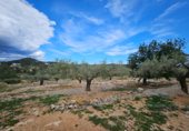 Parcela urbanizable en venta en la Carretera Vella de Tortosa al Perelló, el Perelló, ref: TR232487 foto