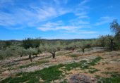Parcela urbanizable en venta en la Carretera Vella de Tortosa al Perelló, el Perelló, ref: TR232487 foto