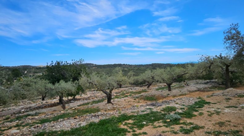 Tarragona - el Perelló - 2000m2
