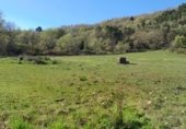 Rural estate for sale on AV-924, Candeleda, ref: TR232488 photo