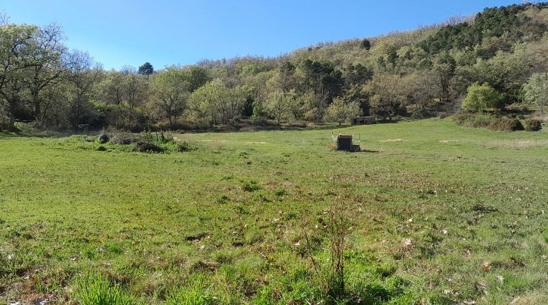 Ávila - Candeleda - 32000m2