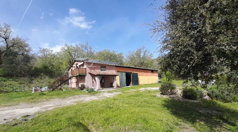 Ávila - Candeleda - 32000m2