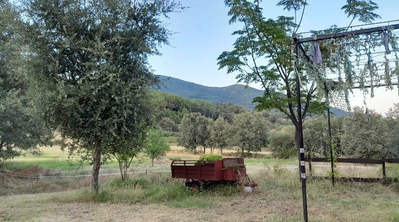 Ávila - Candeleda - 32000m2