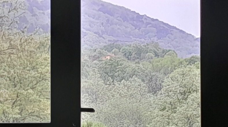 Ávila - Candeleda - 32000m2