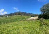 Parcel·la urbanitzable en venda a la Sendero de la Capia, Prellezo, ref.: TR232500 foto