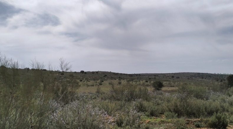 Albacete - El Bonillo - 3000000m2