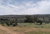 Casa de campo con terreno en venta en la N-430, El Bonillo, ref: TR232633 foto