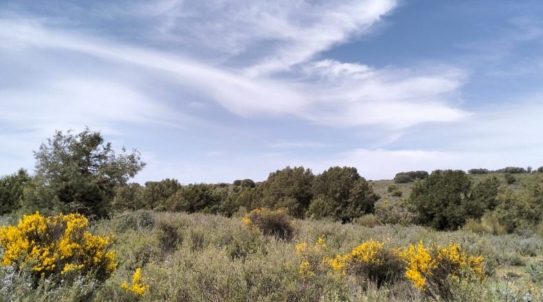 Albacete - El Bonillo - 3000000m2