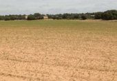 Rural estate for sale on CM-3119, Villarrobledo, ref: TR232635 photo