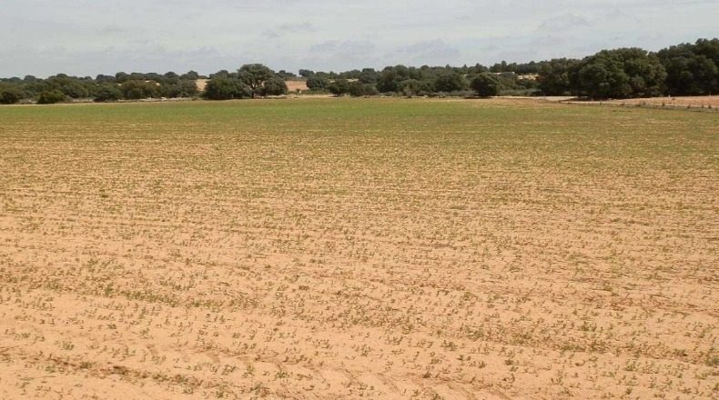 Albacete - Villarrobledo - 3000000m2