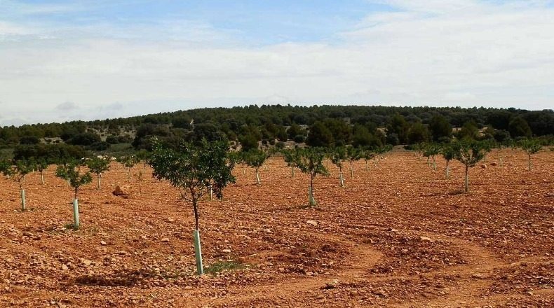 Albacete - Villarrobledo - 3000000m2